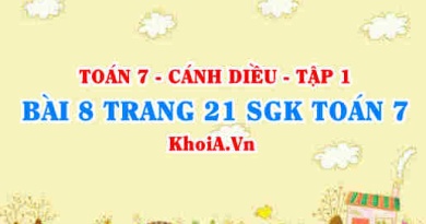 Bài 8 trang 21 SGK Toán 7 tập 1 Cánh Diều